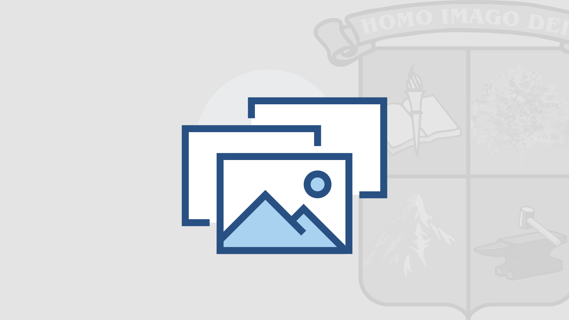 Imagen no disponible